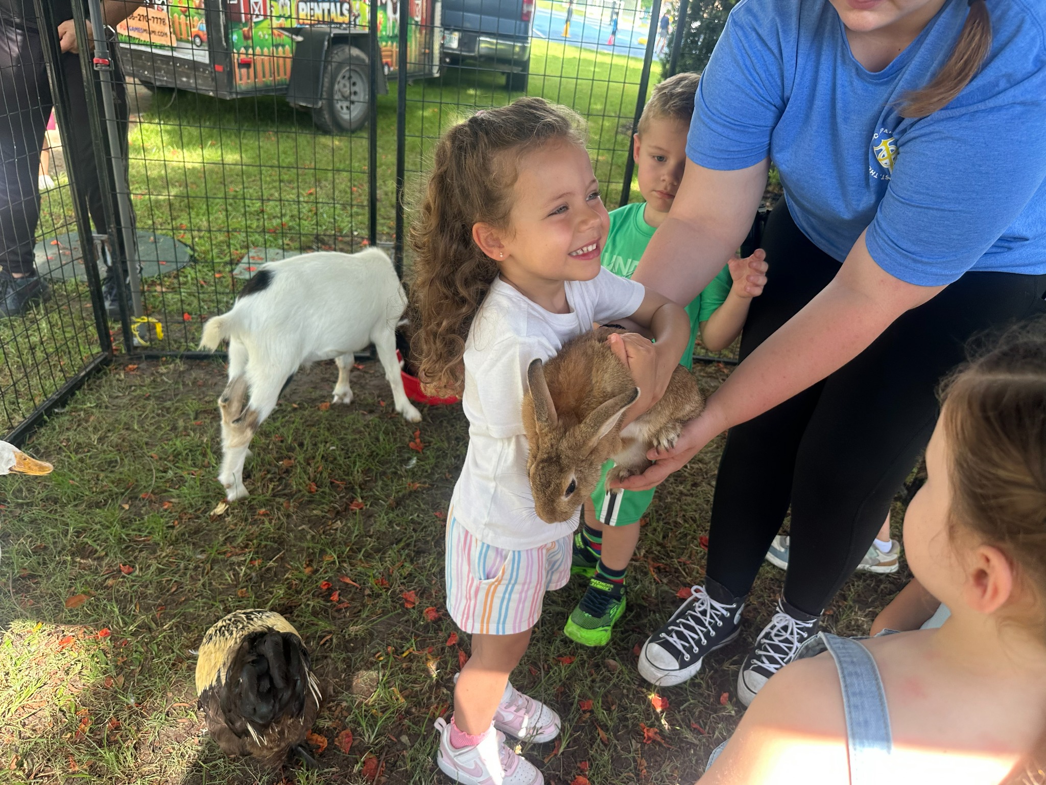 bunnies at Fun Games mobile petting zoo