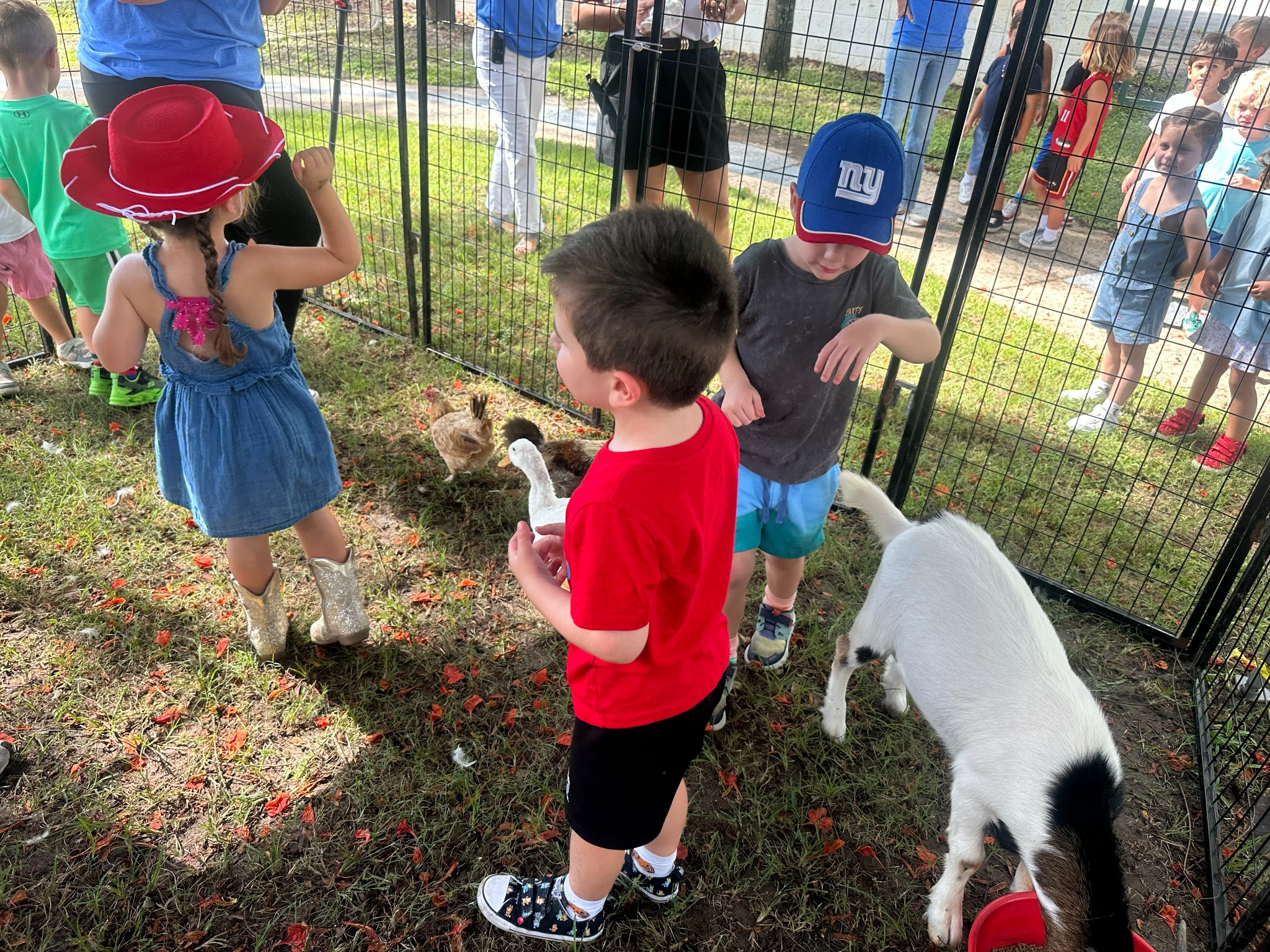 Fun Games mobile petting zoo for children's parties in Miami